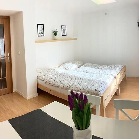 Plně vybavený apartmán na úpatí Jizerských hor Liberec Esterno foto