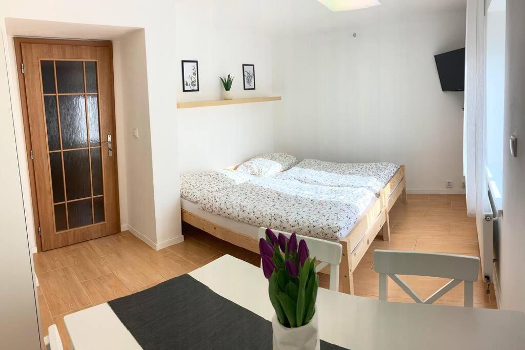 Plně vybavený apartmán na úpatí Jizerských hor Liberec Esterno foto